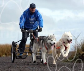 whitelee27
