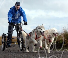 whitelee28