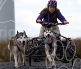 whitelee30