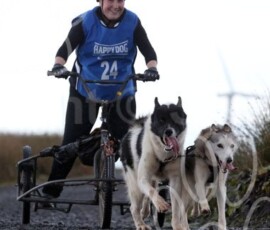 whitelee31