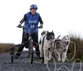 whitelee32
