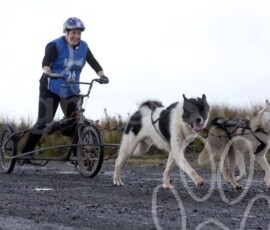 whitelee33