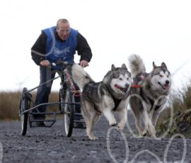 whitelee34