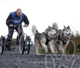 whitelee35