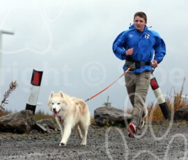 whitelee38
