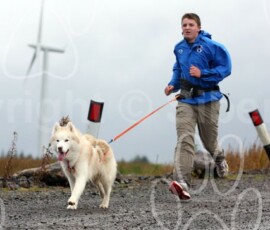 whitelee39