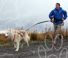 whitelee40