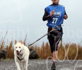 whitelee41