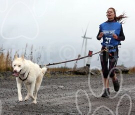 whitelee42