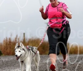 whitelee43