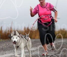 whitelee44