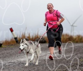 whitelee45