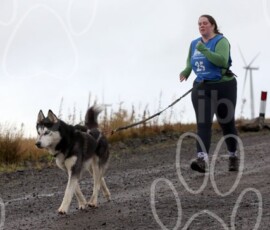 whitelee46