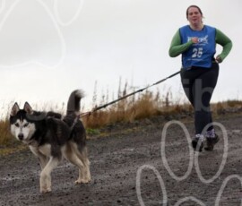 whitelee47