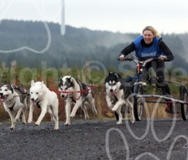 whitelee51