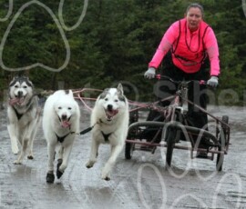 whitelee98